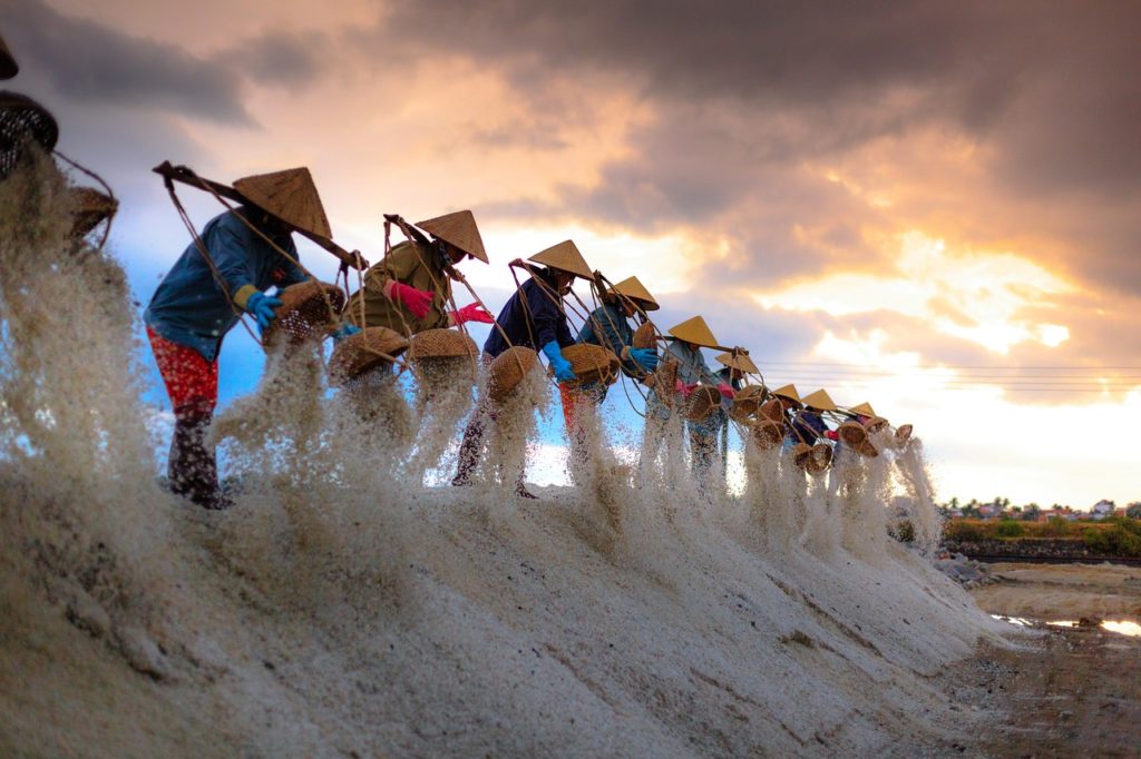 salt, the smoke, vietnam